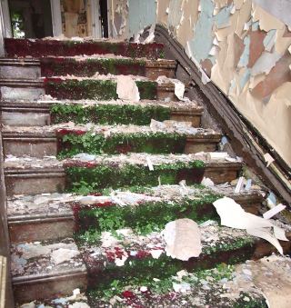 Illustration for article titled The Creepy World of Abandoned Asylums